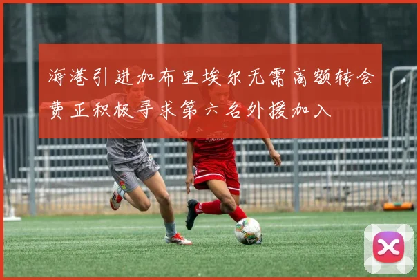 海港引进加布里埃尔无需高额转会费正积极寻求第六名外援加入