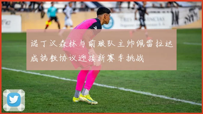 诺丁汉森林与前狼队主帅佩雷拉达成执教协议迎接新赛季挑战