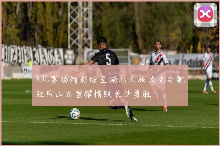 NBL赛场精彩纷呈湖北文旅力克合肥狂风山东蜜獾惜败长沙勇胜