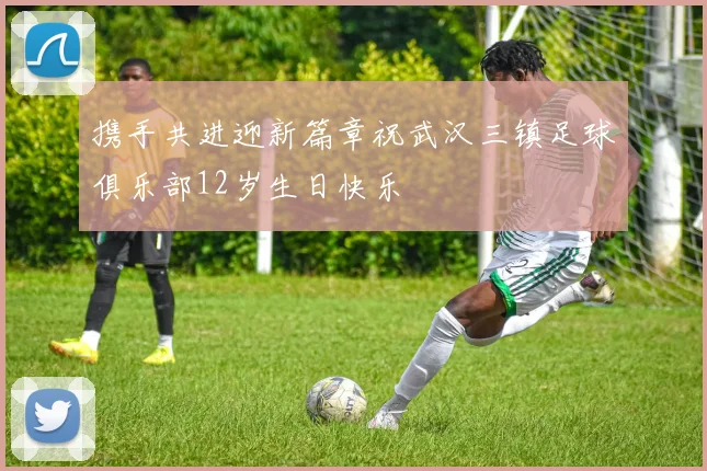 携手共进迎新篇章祝武汉三镇足球俱乐部12岁生日快乐
