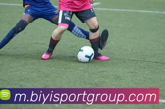 必一体育APP 高清赛事图